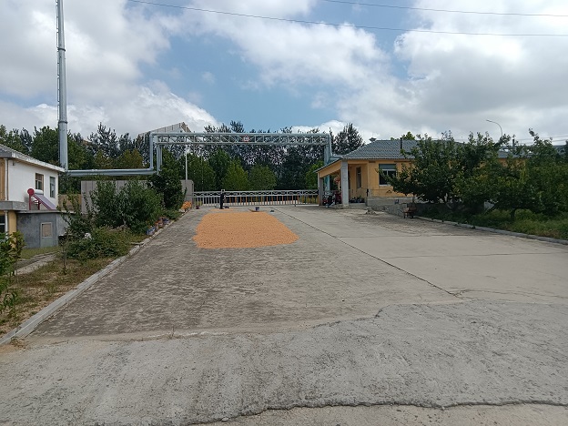 文登經(jīng)濟(jì)開(kāi)發(fā)區(qū)虎山廠房場(chǎng)地出租 文登經(jīng)濟(jì)開(kāi)發(fā)區(qū)虎山廠房場(chǎng)地出租